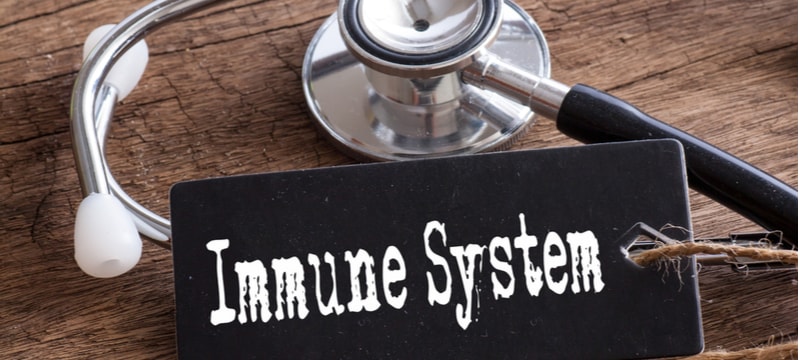 Immune System CBD min
