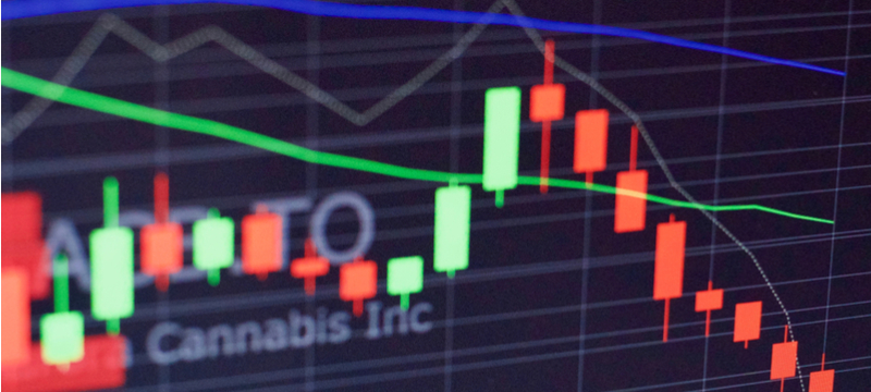 Cryptocurrency entrepreneurs riding the wave of the CBD industry 1