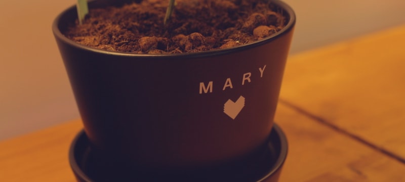 MaryAGflowerpot min