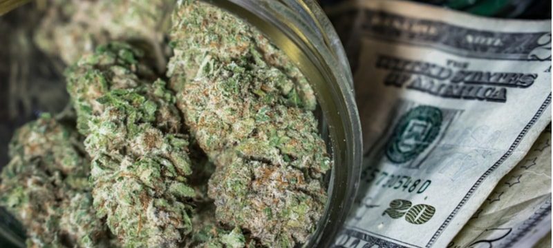 cannabis profit