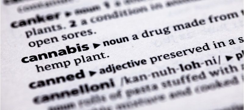 Cannabis_Dictionary