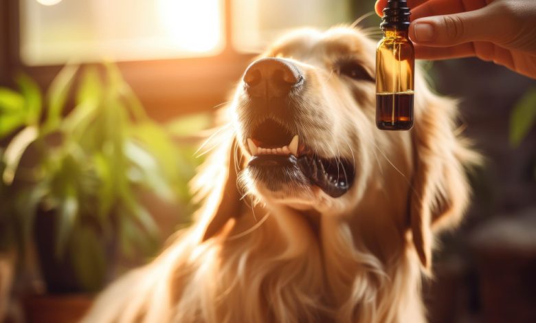CBD Oil for Dogs Dose Calculator