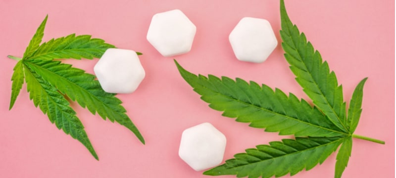 Cannabis CBD chewing gums and hemp leafs isolated on pink