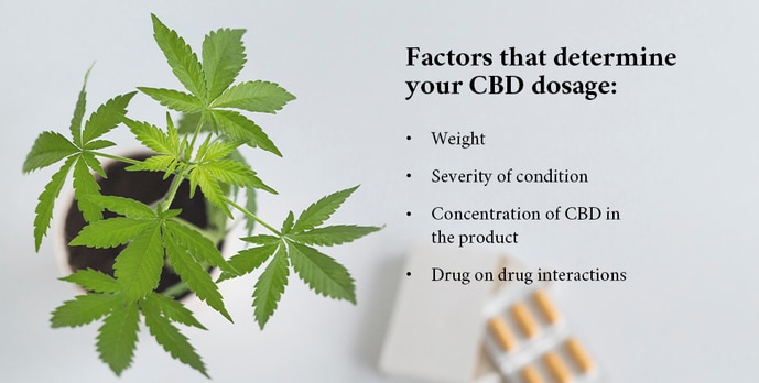 Factors_That_Affect_Your_CBD_Dosage