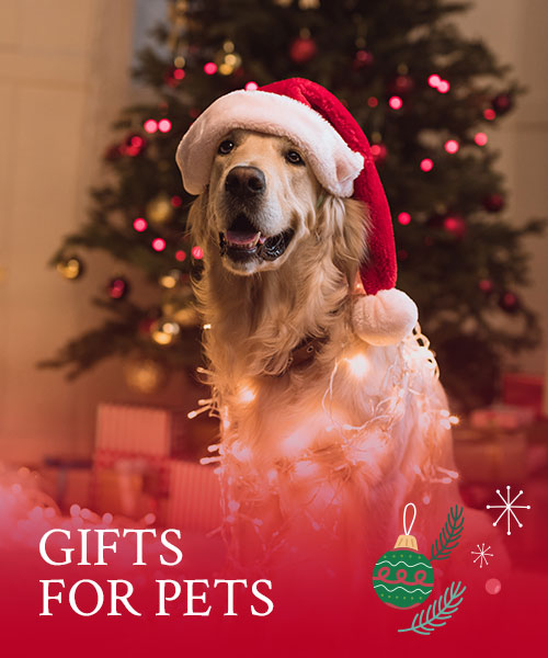 ForPets Christmas 1
