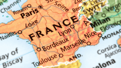 France lifts ban on CBD flower