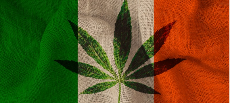 Irelands major protest for cannabis reform min