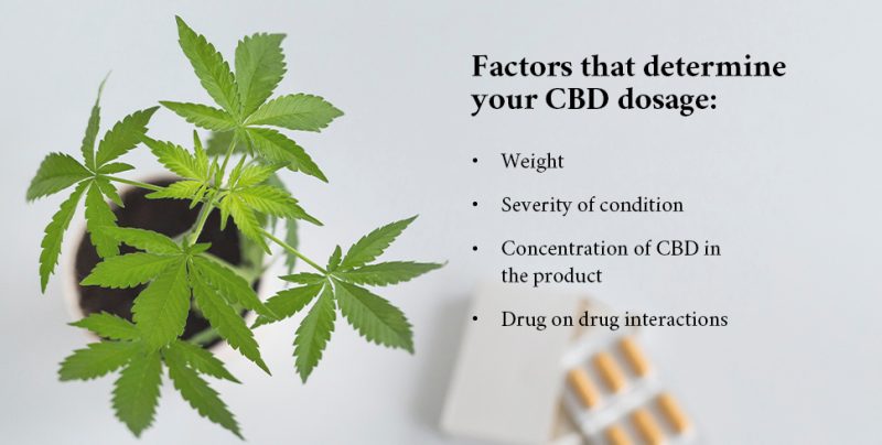 Factors that affect CBD dosage