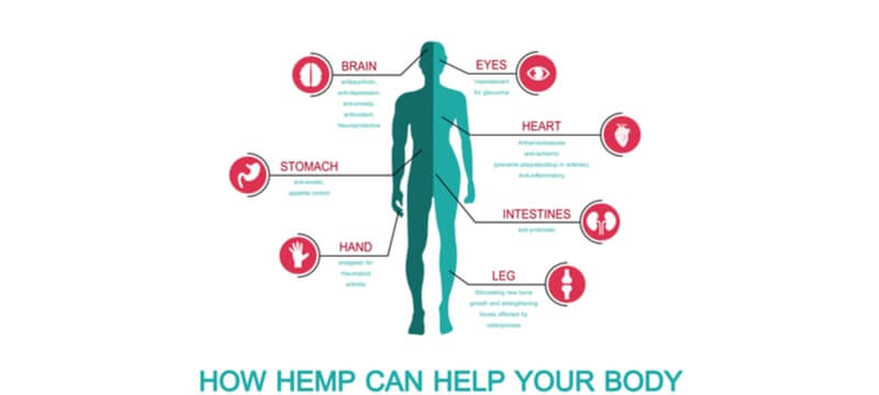 hemp benefits for body